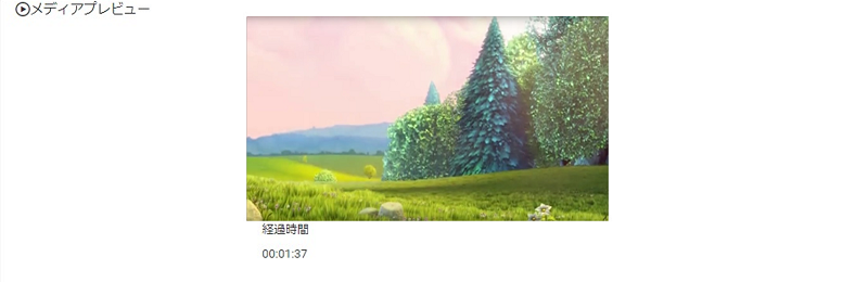 メディアプレビュー画面キャプチャ